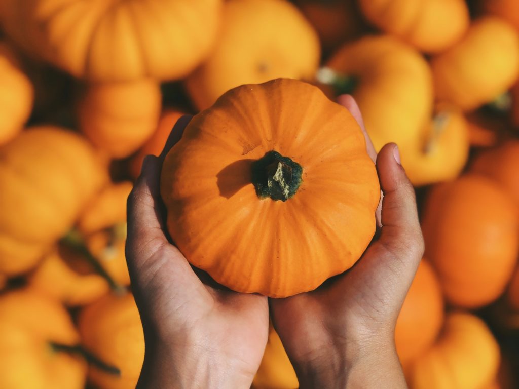 Person holding the superfood squash, pumpkin.