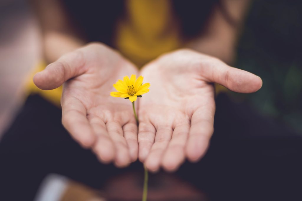 person holding a flower, a dimension of wellbeing and wellness